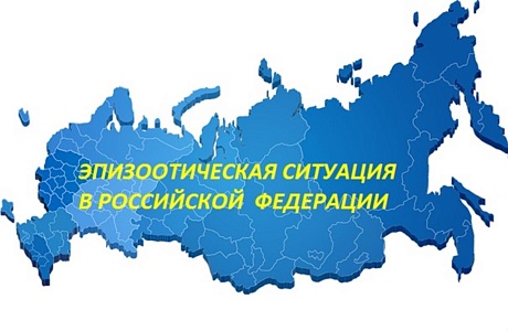 Информация об эпизоотической ситуации в Российской Федерации по состоянию на 9 октября 2022 г.
